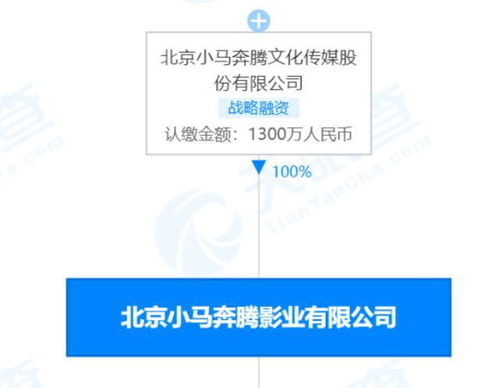 小马奔腾影业被强制执行3852万 昔日荣光何以褪色？
